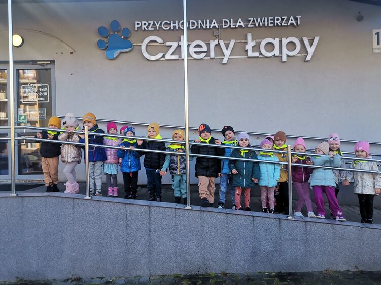 cztery łapy